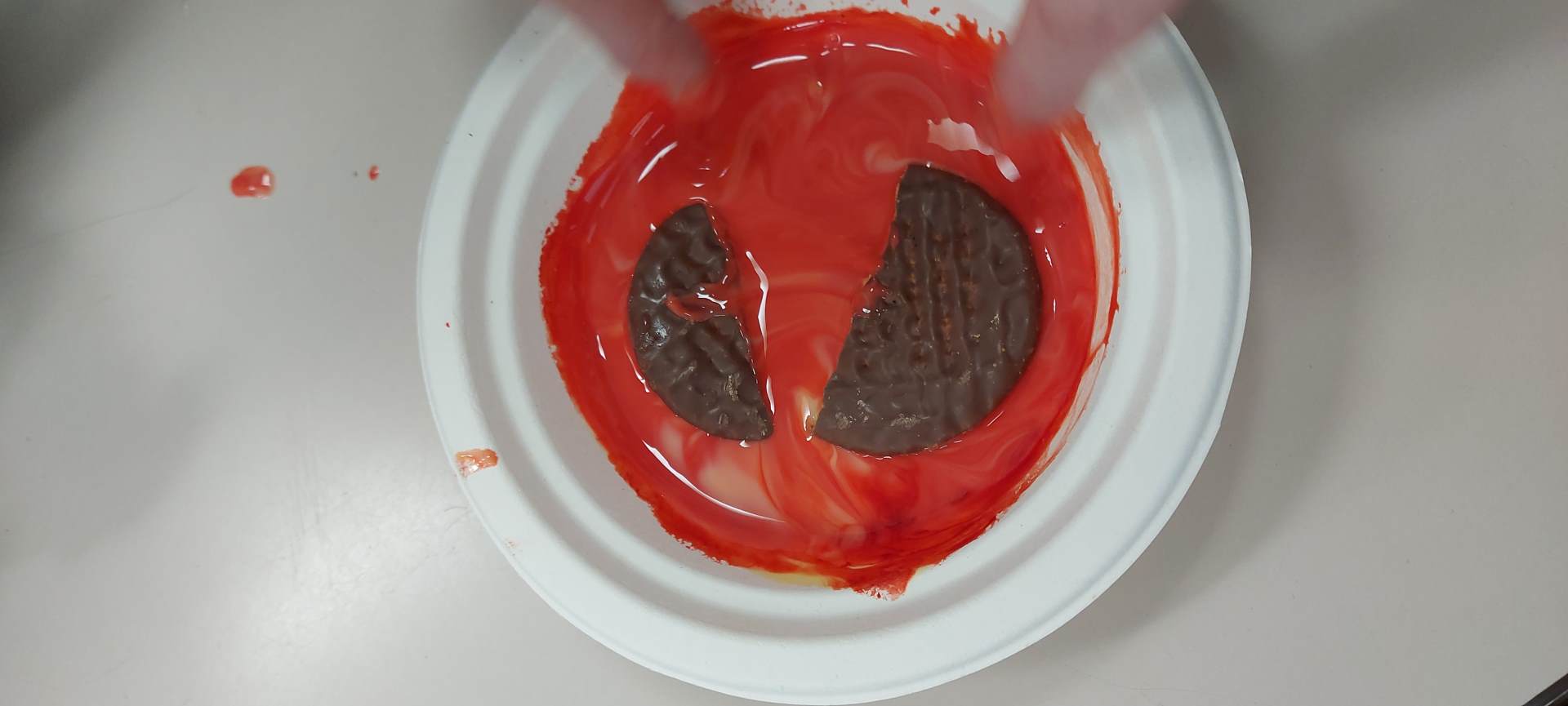 Tectonic plates demonstration